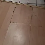 Harsdoerffer * Norimberga